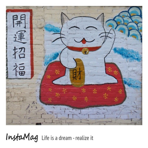 學甲蜀葵花海:這裡像是要通往什麼秘境般的道路,誰來指引我去呢~學甲光華里蜀葵園區