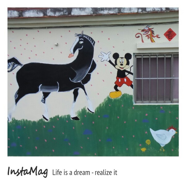 學甲蜀葵花海:這裡像是要通往什麼秘境般的道路,誰來指引我去呢~學甲光華里蜀葵園區