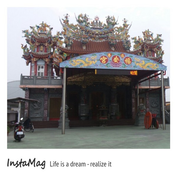 學甲蜀葵花海:這裡像是要通往什麼秘境般的道路,誰來指引我去呢~學甲光華里蜀葵園區