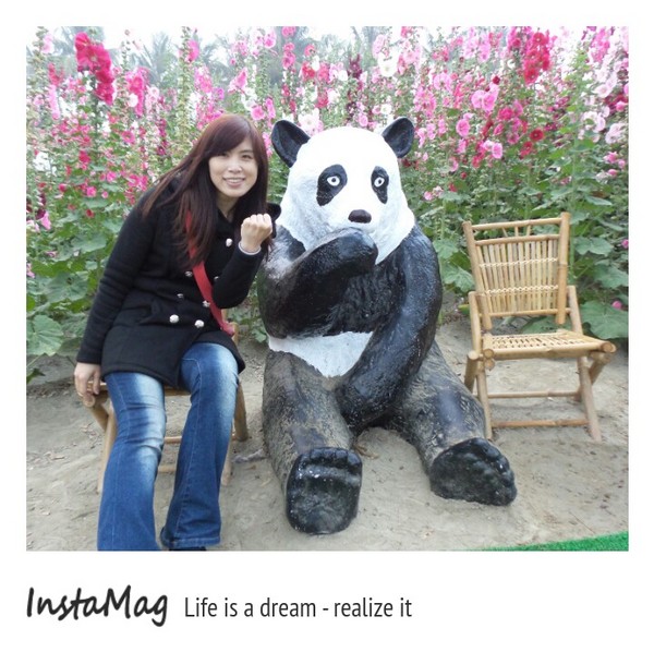 學甲蜀葵花海:這裡像是要通往什麼秘境般的道路,誰來指引我去呢~學甲光華里蜀葵園區