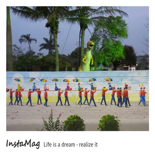 學甲蜀葵花海:這裡像是要通往什麼秘境般的道路,誰來指引我去呢~學甲光華里蜀葵園區