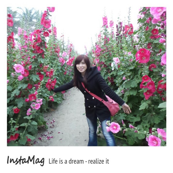 學甲蜀葵花海:這裡像是要通往什麼秘境般的道路,誰來指引我去呢~學甲光華里蜀葵園區