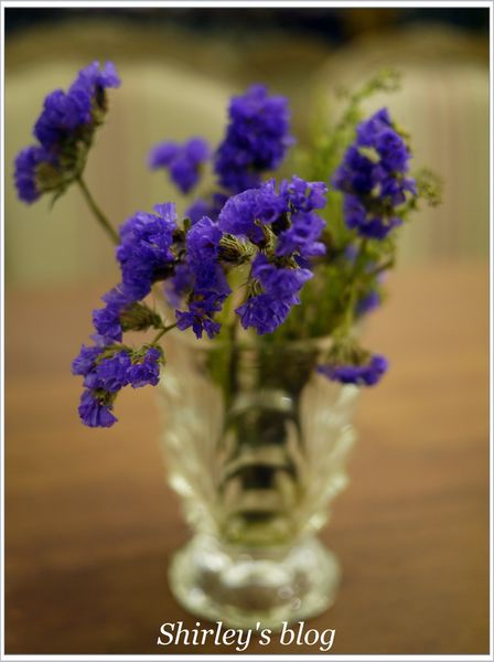 VVG Action 好樣情事(松菸店):好樣情事