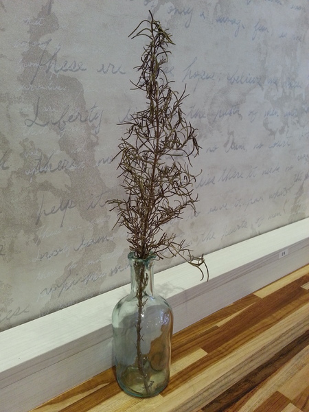 白水木精品咖啡(太原央廚):值得用心品嚐的店。餐點吃起來道道是驚喜