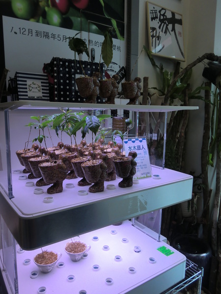 白水木精品咖啡:白水木精品咖啡~