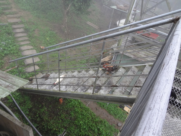 cm20130910___36a46eae7ec91c766cfa590aec7