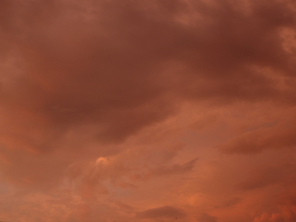 cm20130921___e55687a6c8ccddac8a6c55cf2b9