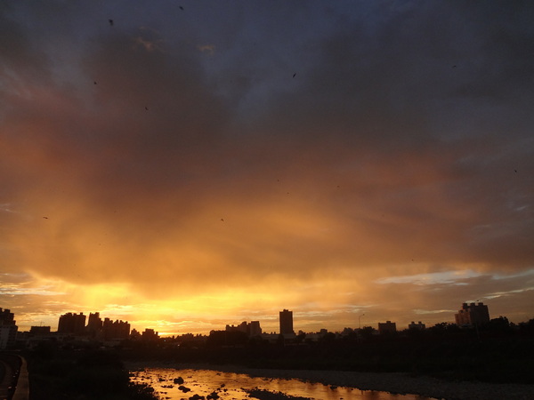 cm20130921___540748d1074c47ddab5cee07783