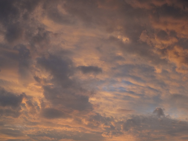 cm20130921___8a00ddb20d788c0b385cde99865