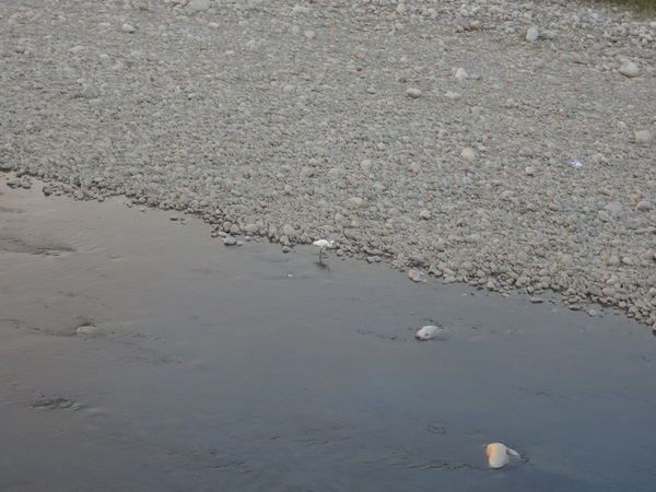 cm20130921___1e5692b4ae2fc88df36a2df644e