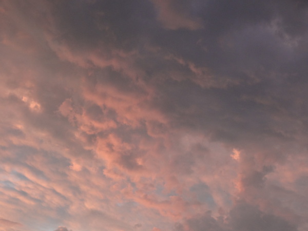 cm20130921___15403e9ff5014cf5436fef6370f