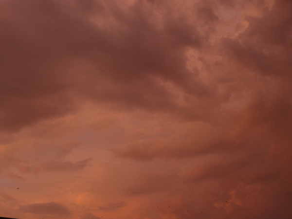 cm20130921___62dccb0a37a0f5a8019621e91f0