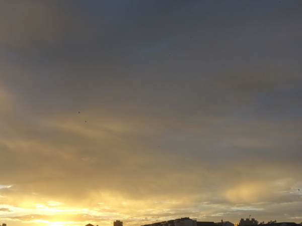 cm20130921___89bf6d06e491799a522edc9ecab