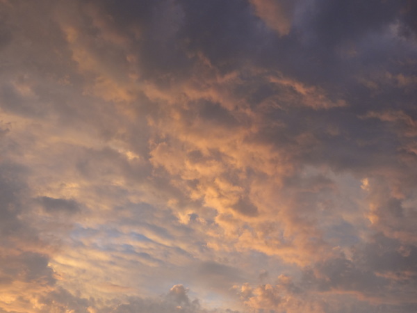 cm20130921___e979c118cd624f821ccc9bbe7d4