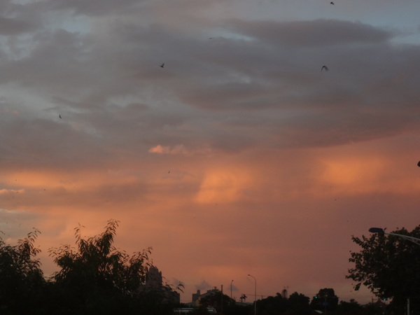 cm20130921___19e826975cd3c4913a21fff5b4a