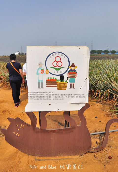 嘉義民雄旺萊鳳梨酥14