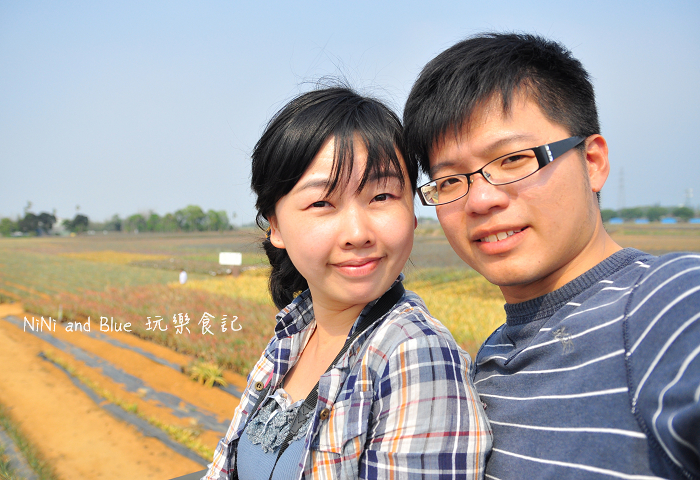 嘉義民雄旺萊鳳梨酥07