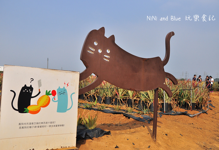 嘉義民雄旺萊鳳梨酥13