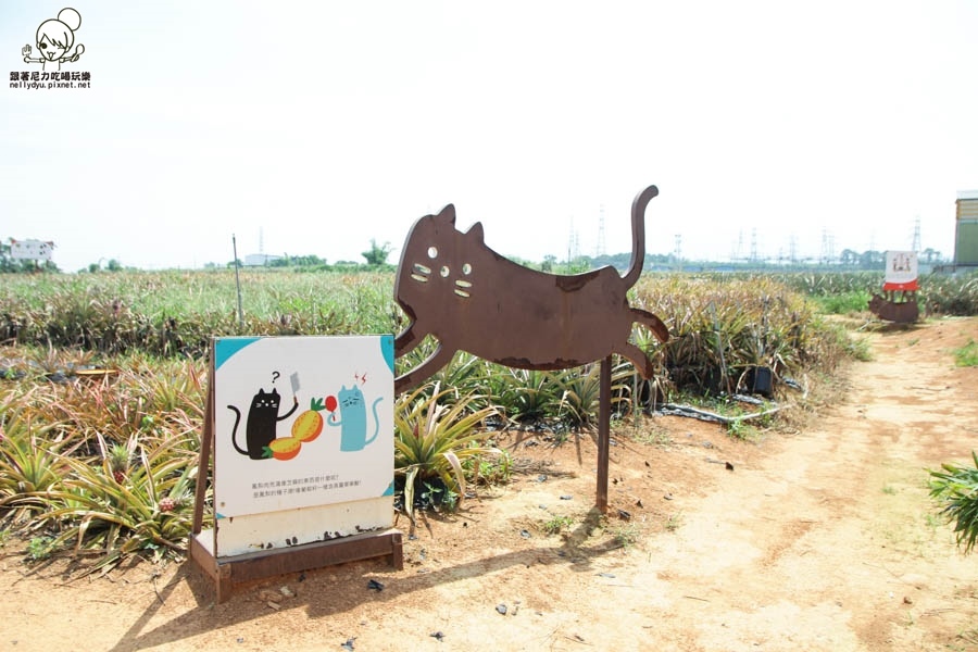 旺萊山鳳梨酥 鳳梨 民雄旅遊 (22 - 52).jpg