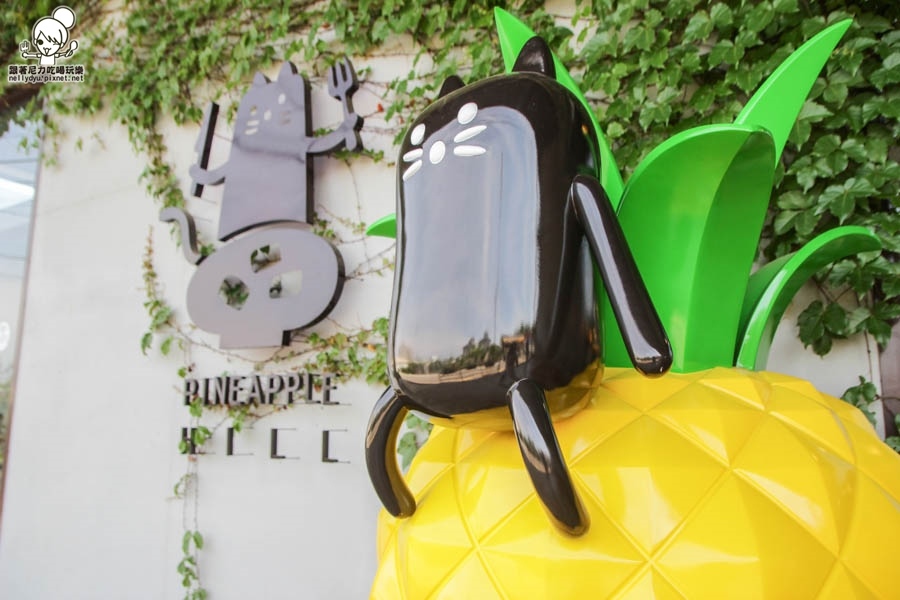 旺萊山鳳梨酥 鳳梨 民雄旅遊 (6 - 52).jpg