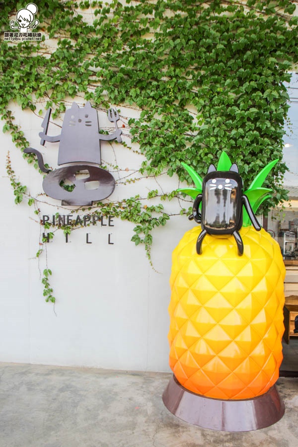 旺萊山鳳梨酥 鳳梨 民雄旅遊 (5 - 52).jpg