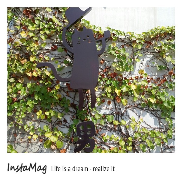 旺萊山觀光工廠:鳳梨打到貓囉~民雄旺萊山鳳梨酥觀光工廠