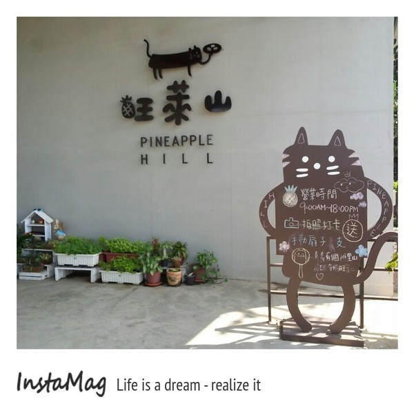 旺萊山觀光工廠:鳳梨打到貓囉~民雄旺萊山鳳梨酥觀光工廠