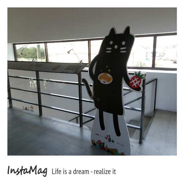 旺萊山觀光工廠:鳳梨打到貓囉~民雄旺萊山鳳梨酥觀光工廠