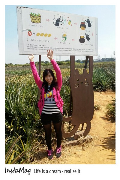 旺萊山觀光工廠:鳳梨打到貓囉~民雄旺萊山鳳梨酥觀光工廠