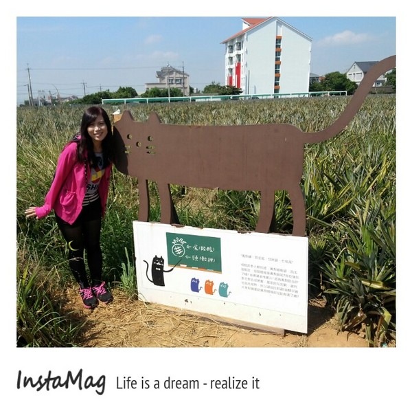 旺萊山觀光工廠:鳳梨打到貓囉~民雄旺萊山鳳梨酥觀光工廠