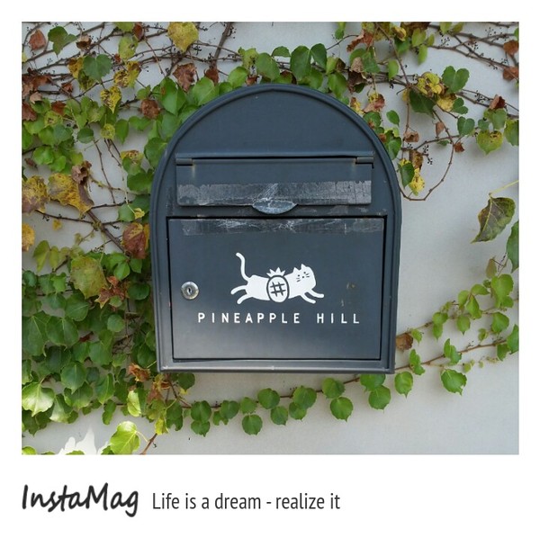 旺萊山觀光工廠:鳳梨打到貓囉~民雄旺萊山鳳梨酥觀光工廠