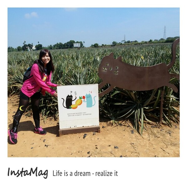 旺萊山觀光工廠:鳳梨打到貓囉~民雄旺萊山鳳梨酥觀光工廠