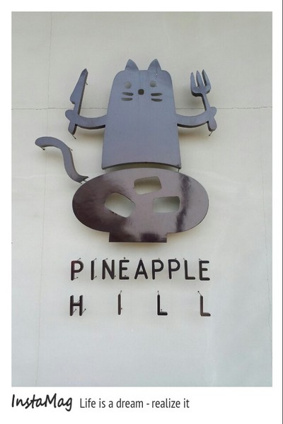 旺萊山觀光工廠:鳳梨打到貓囉~民雄旺萊山鳳梨酥觀光工廠