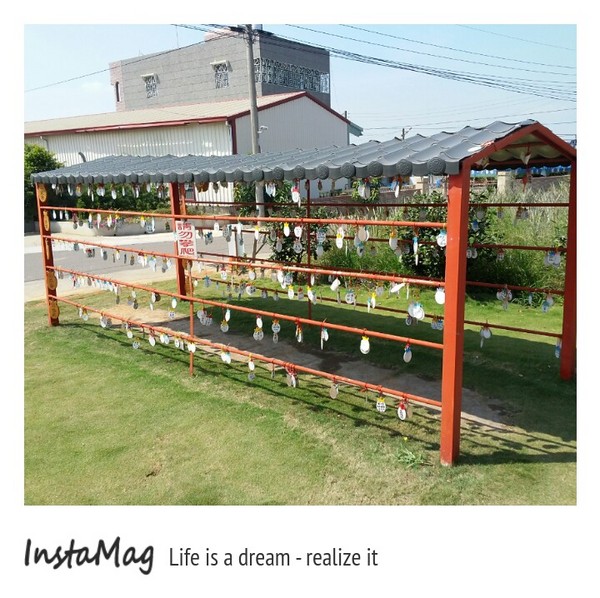 旺萊山觀光工廠:鳳梨打到貓囉~民雄旺萊山鳳梨酥觀光工廠