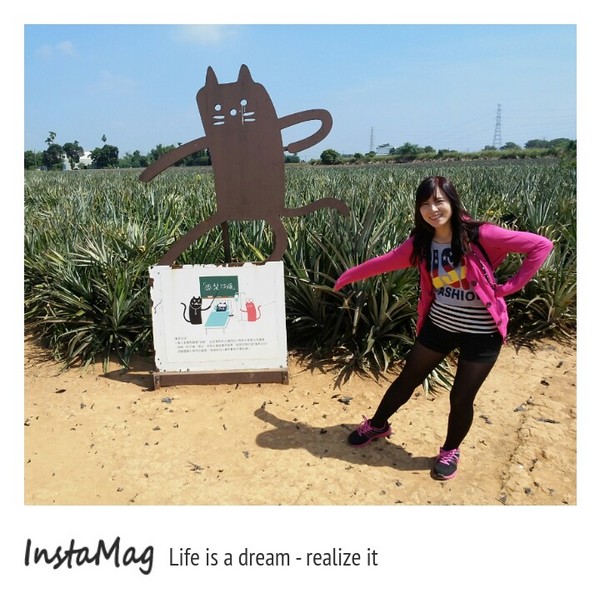 旺萊山觀光工廠:鳳梨打到貓囉~民雄旺萊山鳳梨酥觀光工廠