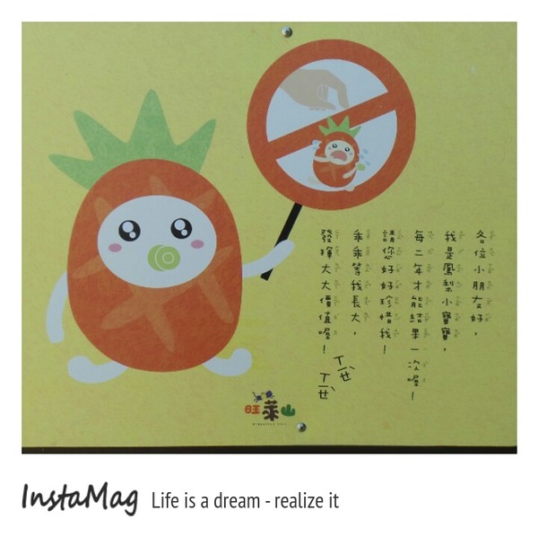 旺萊山觀光工廠:鳳梨打到貓囉~民雄旺萊山鳳梨酥觀光工廠