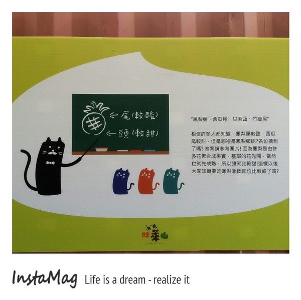 旺萊山觀光工廠:鳳梨打到貓囉~民雄旺萊山鳳梨酥觀光工廠