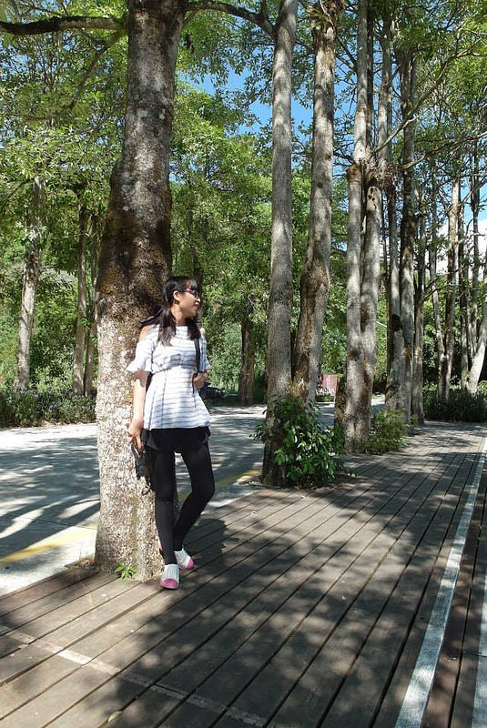 10698665_802033503151779_5866618978716524899_n