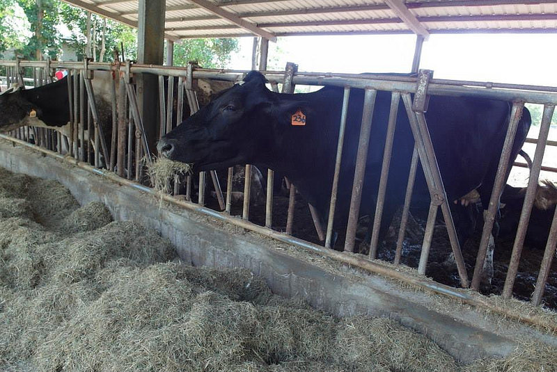 10636319_802033629818433_6305953255820627229_n