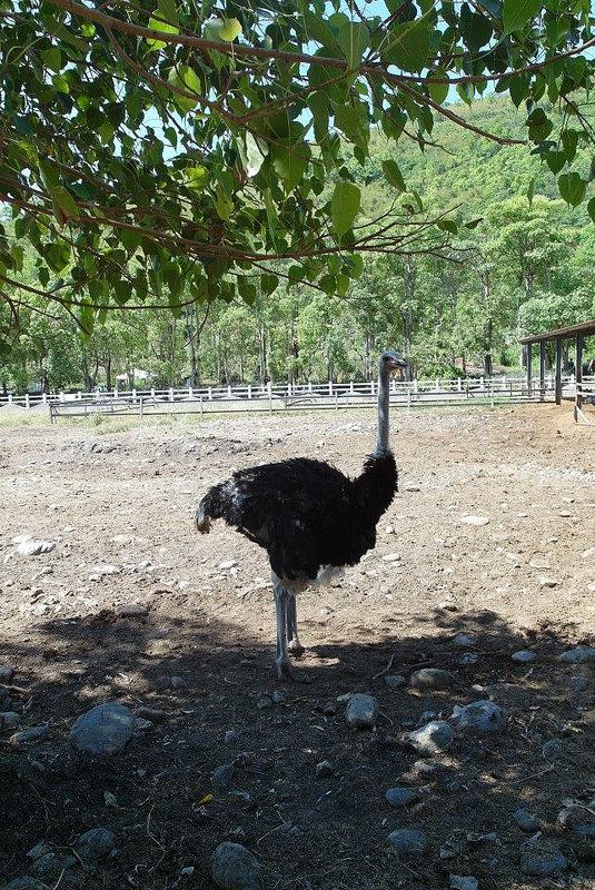 10613078_802033666485096_3337946665306458079_n