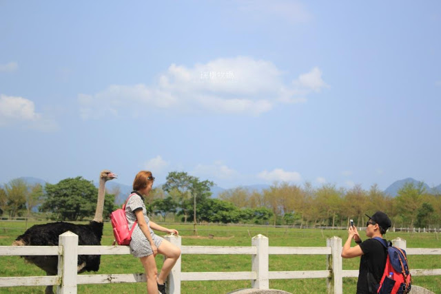 瑞穗牧場-14