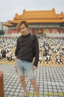 台北1600熊貓世界之旅(台北場):紙貓熊.1600隻