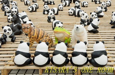 台北1600熊貓世界之旅(台北場):紙貓熊.1600隻