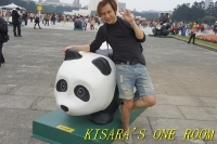 台北1600熊貓世界之旅(台北場):紙貓熊.1600隻