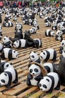 台北1600熊貓世界之旅(台北場):紙貓熊.1600隻