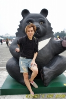 台北1600熊貓世界之旅(台北場):紙貓熊.1600隻