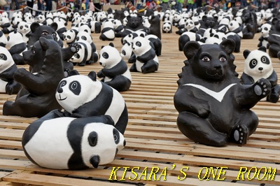 台北1600熊貓世界之旅(台北場):紙貓熊.1600隻