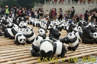 台北1600熊貓世界之旅(台北場):紙貓熊.1600隻