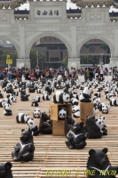 台北1600熊貓世界之旅(台北場):紙貓熊.1600隻