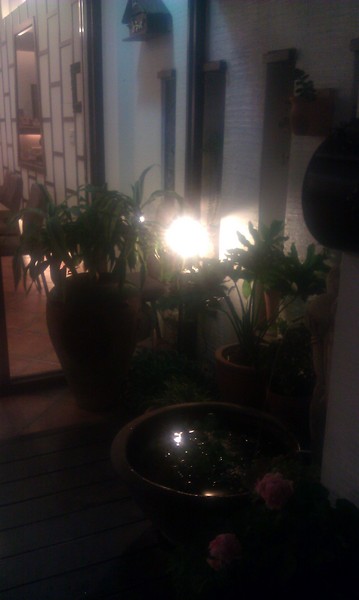 朋泰：【苗栗頭份】朦朧也是美，情人節快樂－朋泰泰式料理